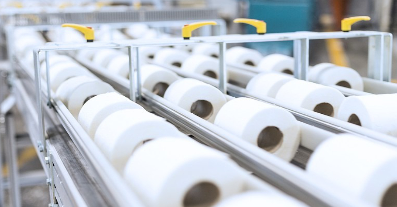 Imagem representativa do setor de papel e celulose