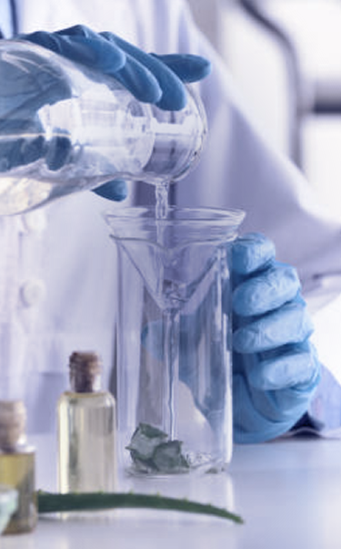 Banner principal - Mob