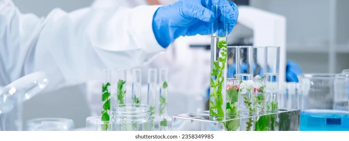 Imagem de card de Responsabilidade e sustentabilidade