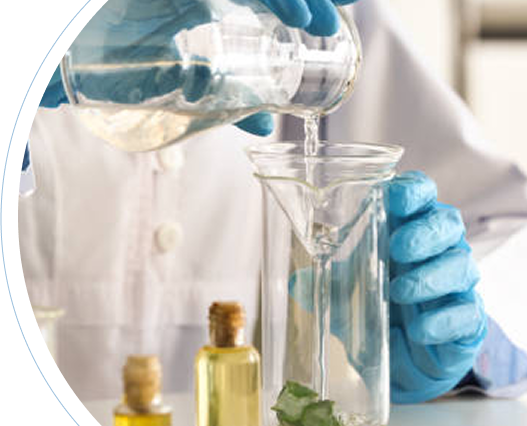 Imagem da seção sobre a dyno